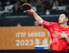 IM Sport-日本队鏖战德国队，马龙惊艳四座的简单介绍